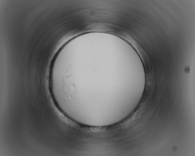 X0000102041147200808081829