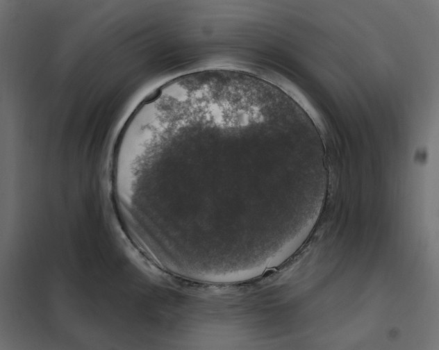 X0000102041148200808081829