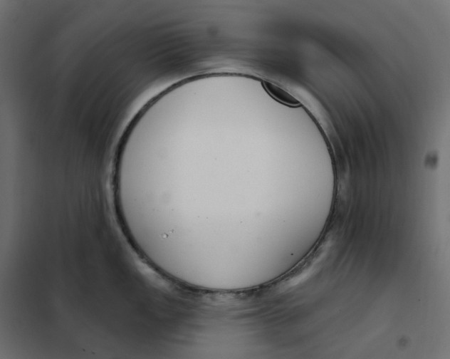 X0000102041149200808081829