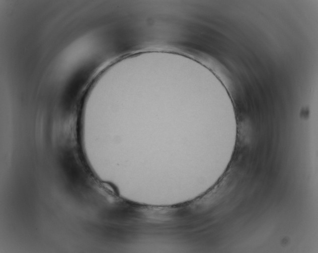 X0000102041150200808081829