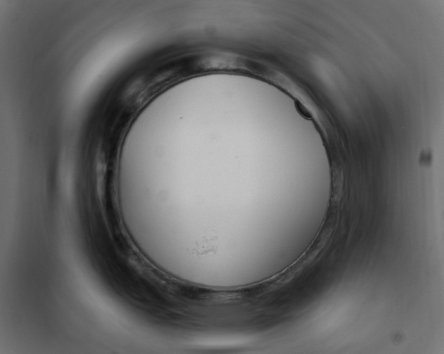 X0000102041151200808081829