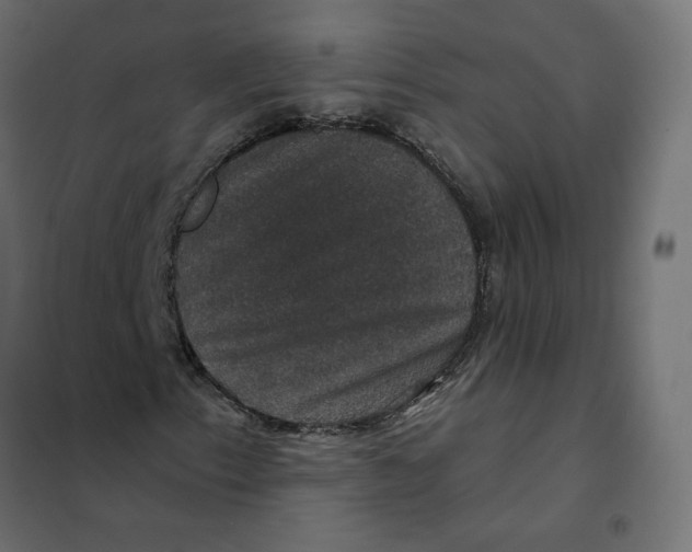 X0000102041153200808081828