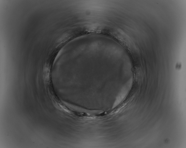 X0000102041154200808081828