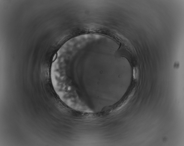 X0000102041155200808081828