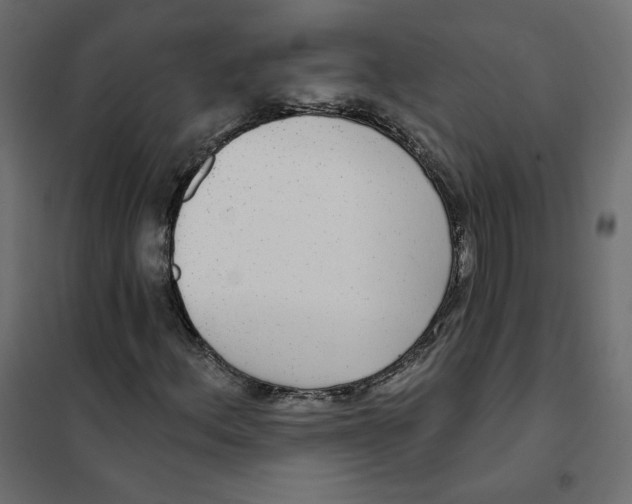 X0000102041156200808081828