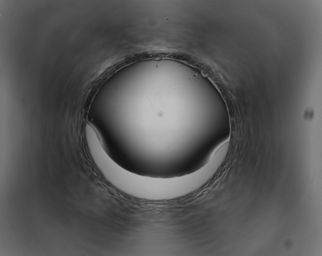 X0000102041157200808081828