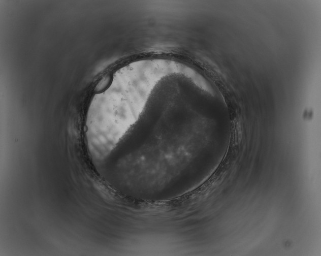 X0000102041158200808081828