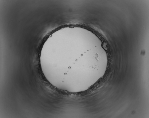 X0000102041160200808081828