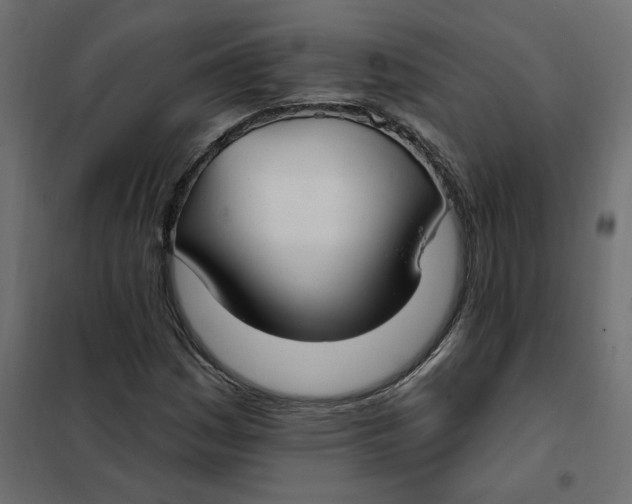 X0000102041161200808081828