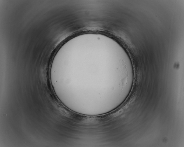 X0000102041162200808081828