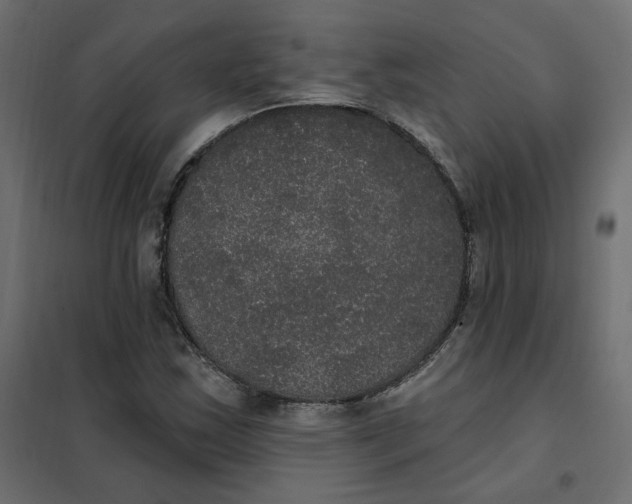 X0000102041163200808081828