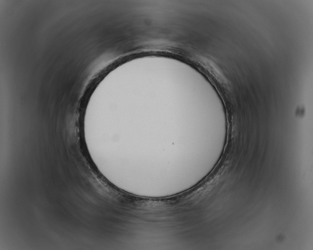 X0000102041164200808081828