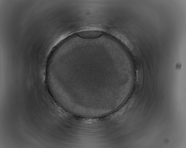 X0000102041165200808081828