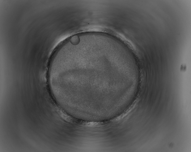 X0000102041166200808081828