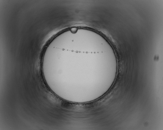 X0000102041167200808081828