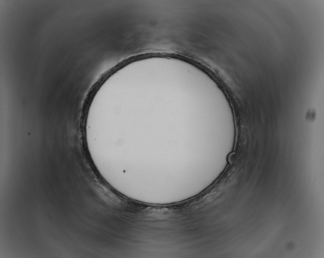 X0000102041168200808081828