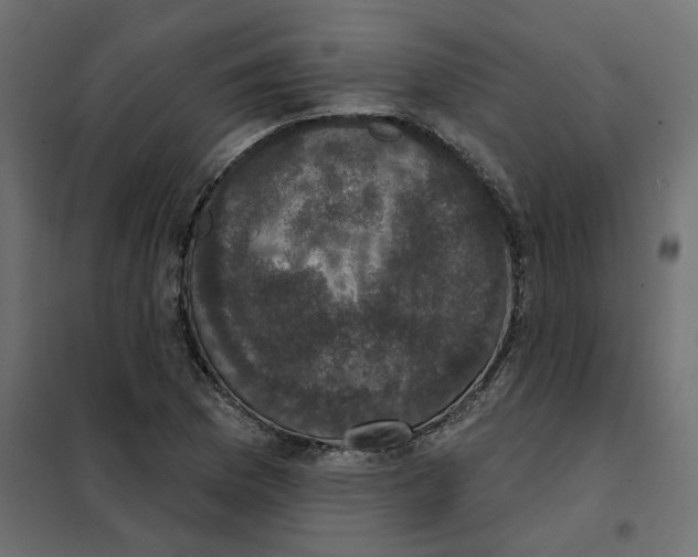 X0000102041169200808081828