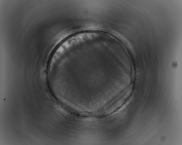 X0000102041170200808081828