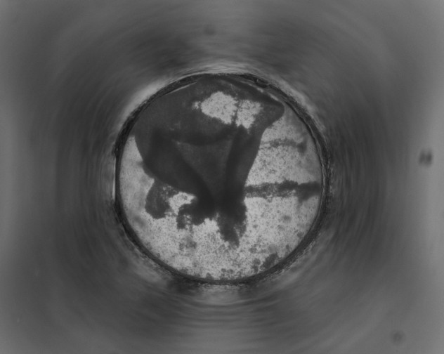 X0000102041171200808081828