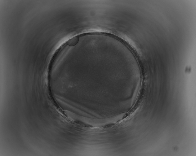 X0000102041173200808081828