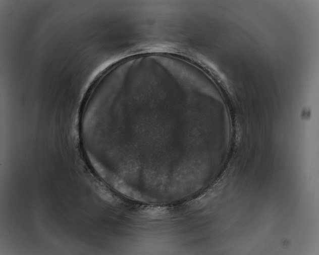 X0000102041174200808081828