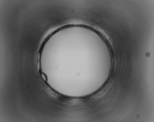 X0000102041175200808081828