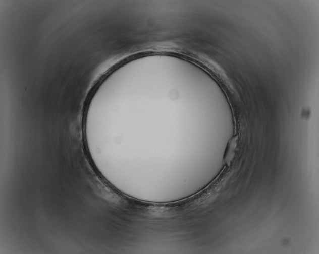 X0000102041176200808081828