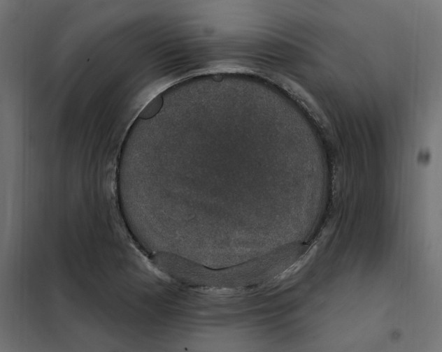 X0000102041177200808081828