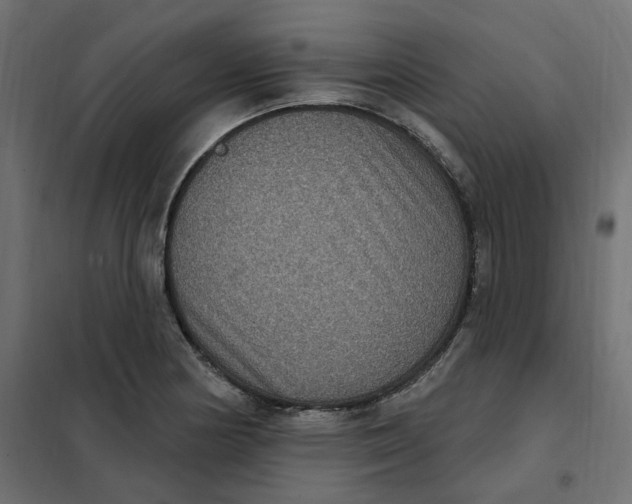 X0000102041178200808081828