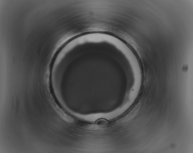 X0000102041179200808081828