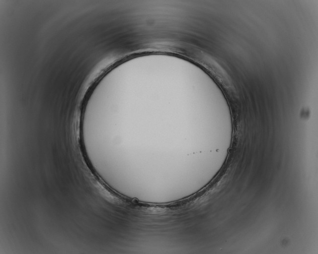 X0000102041180200808081828