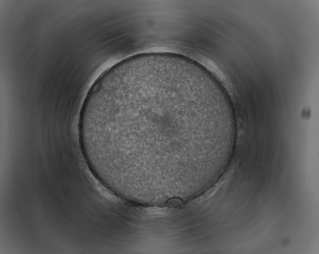 X0000102041181200808081828