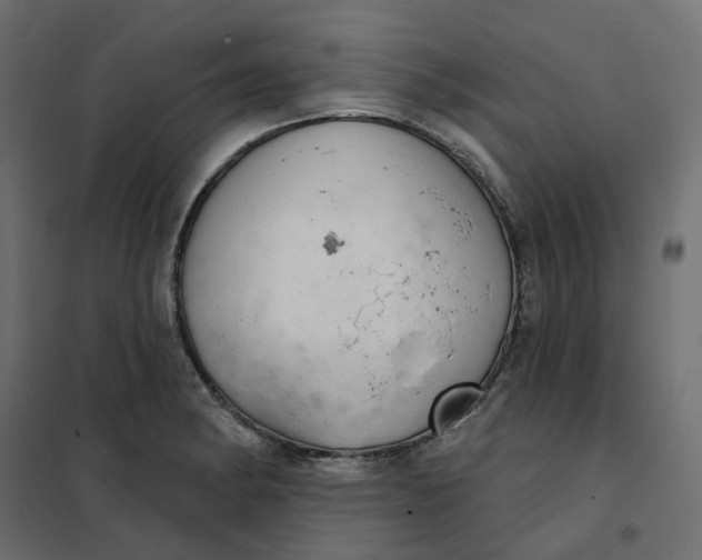 X0000102041182200808081828