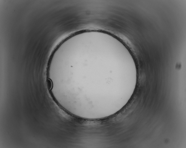 X0000102041183200808081828