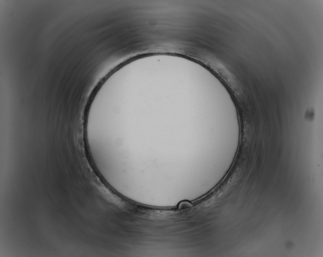 X0000102041184200808081828