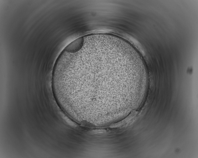 X0000102041186200808081828