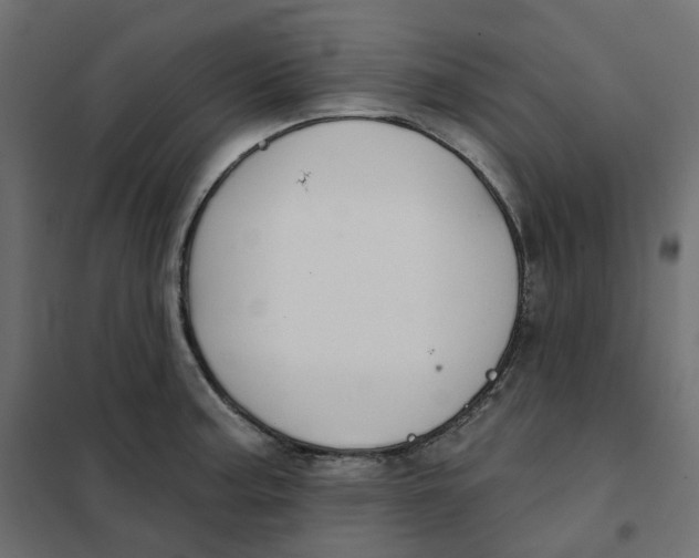 X0000102041187200808081828