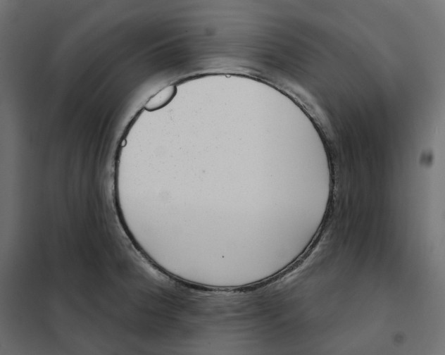 X0000102041188200808081828