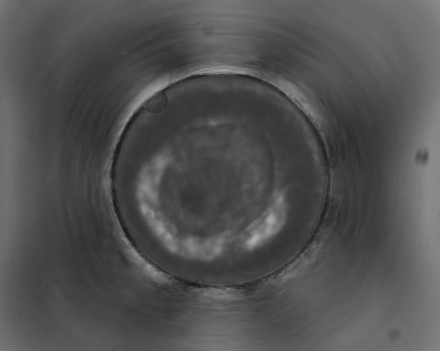 X0000102041189200808081828