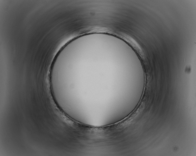 X0000102041190200808081828