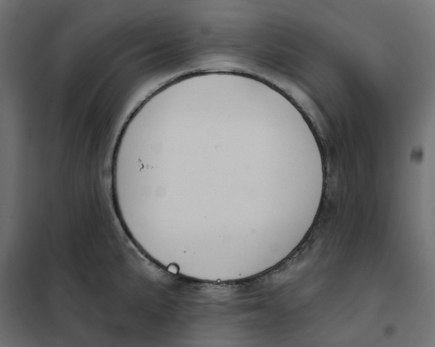 X0000102041191200808081828