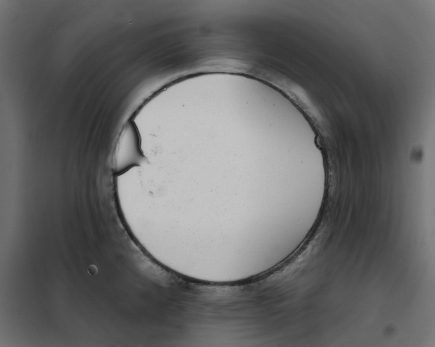 X0000102041192200808081828