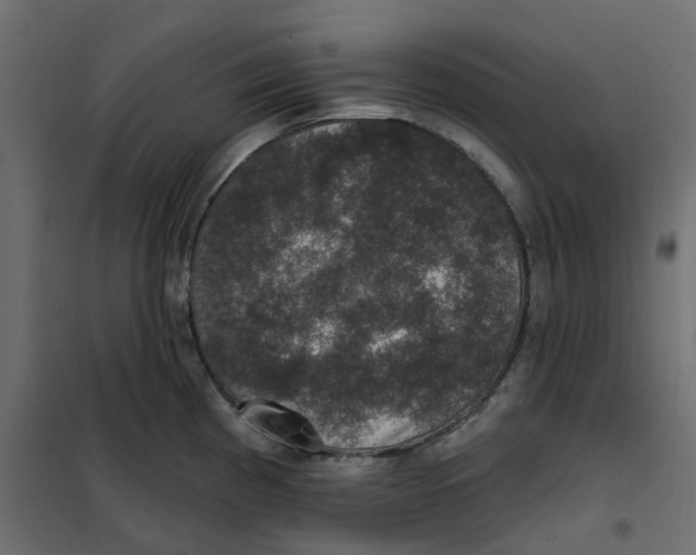 X0000102041193200808081828