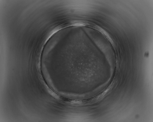 X0000102041194200808081828