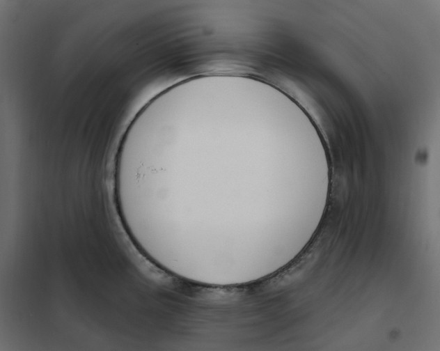 X0000102041195200808081828