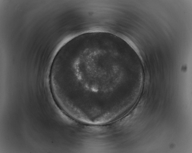 X0000102041197200808081828