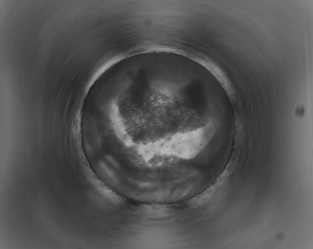 X0000102041198200808081828