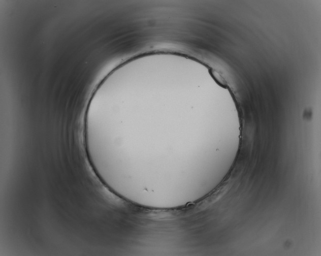 X0000102041199200808081828