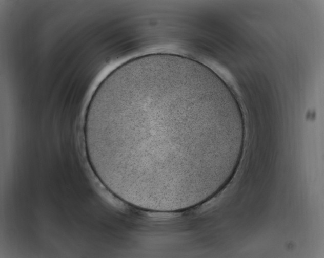 X0000102041200200808081828