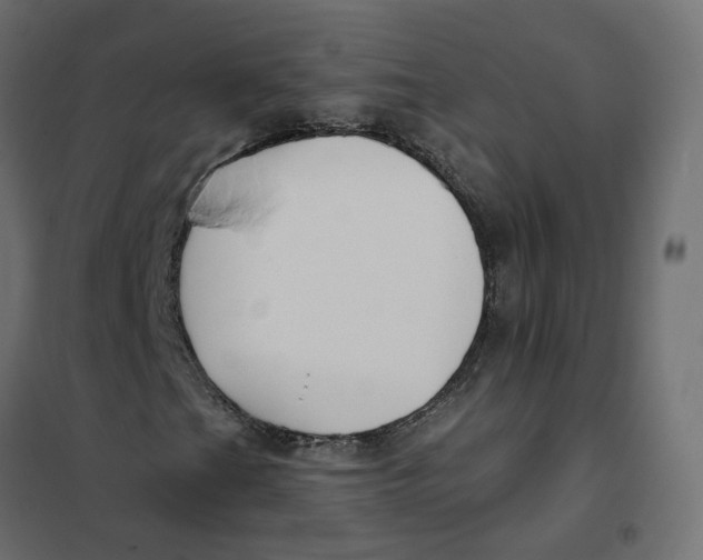 X0000102041201200808081827